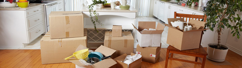 certified packers and movers